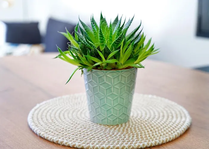 Dom wakacyjny Maison Aranea *